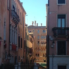 2015_Venice_342