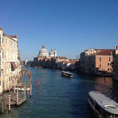 2015_Venice_346