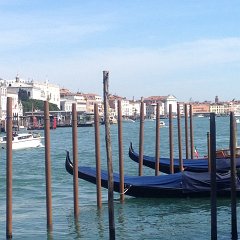 2015_Venice_386