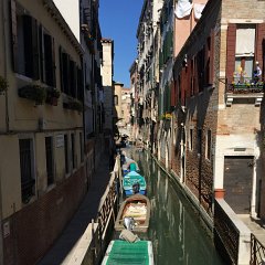 2015_Venice_686